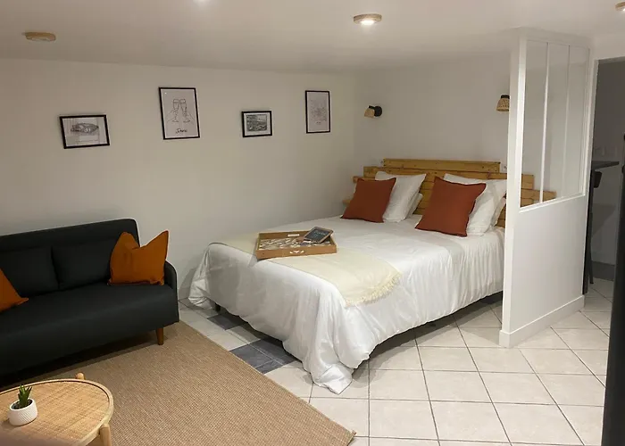 Appart Studio Rdc De Maison Avec Exterieur Proche Reims